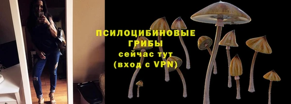 ГАЛЛЮЦИНОГЕННЫЕ ГРИБЫ Абдулино