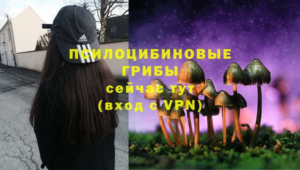 ГАЛЛЮЦИНОГЕННЫЕ ГРИБЫ Абдулино