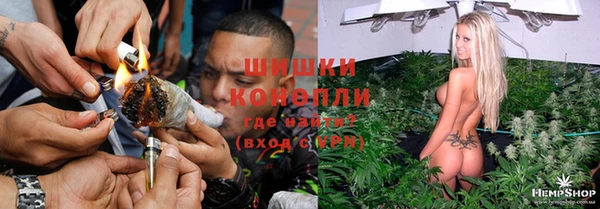ГАЛЛЮЦИНОГЕННЫЕ ГРИБЫ Абдулино